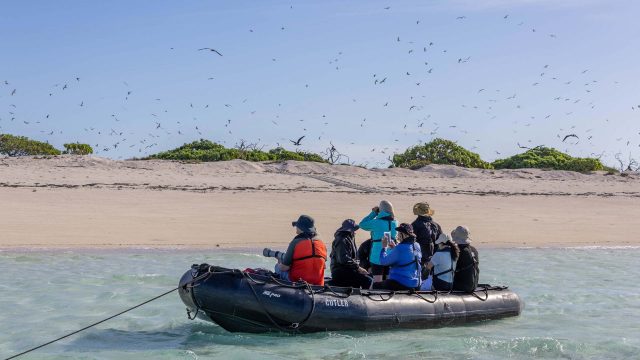 Ashmore-Reef-Bird-Cruise