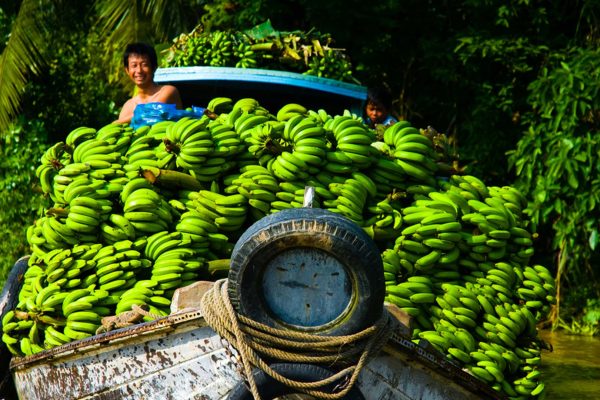 Banana boat in Mekong canal