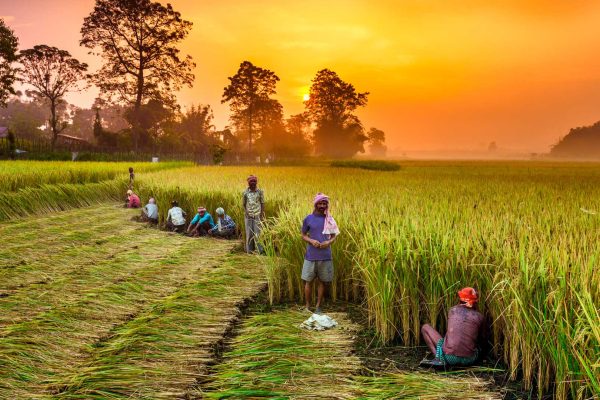 CHITWAN-NEPAL-agriculture