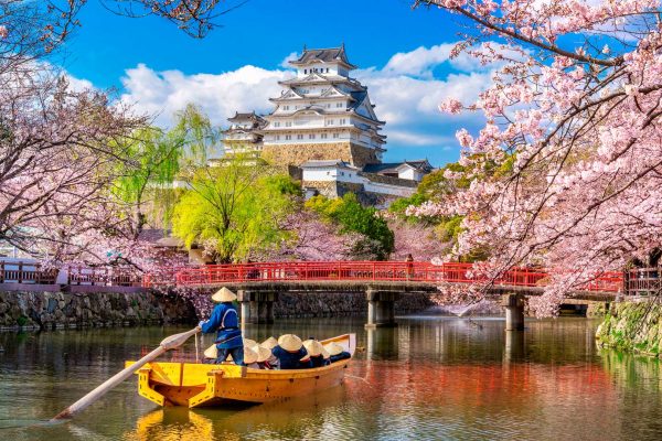 Cherry blossoms and castle in Himeji