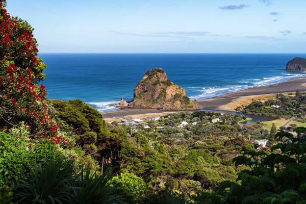 Coast-of-Auckland-New-Zealand-01