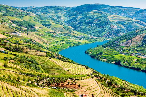 Douro-Valley-Portugal