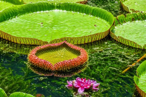 Excursion-Maritius-01