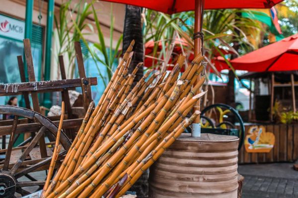 Excursion-Maritius-Port-Louis-01