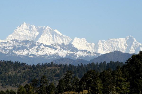 Gangkharpuensum