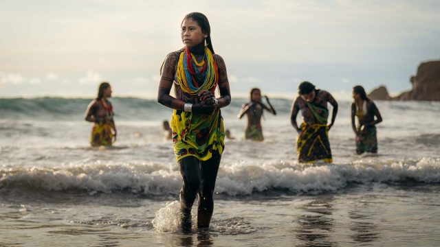 IMAGERYE4231001015_08