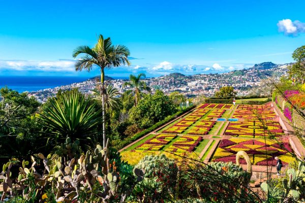 Madeira-Botanical-Garden-in-Funchal