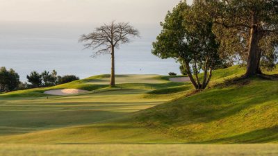 Palheiro-Golf-08
