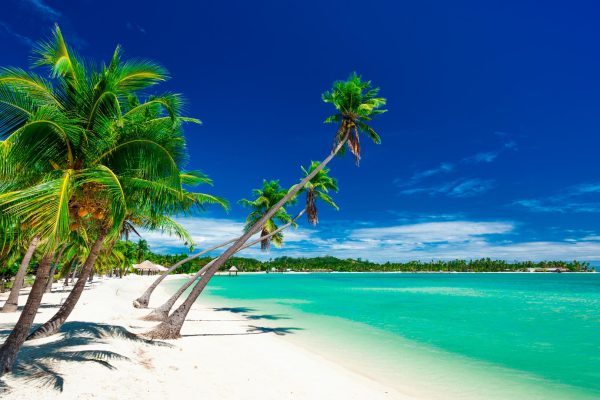 Plantation-Island-Fiji