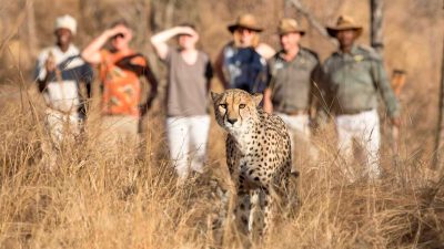 Shiduli-Safari-Lodge-15