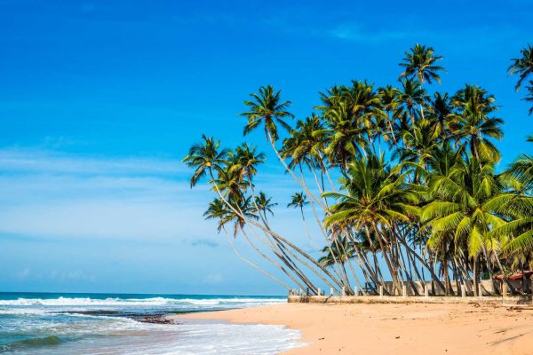 Sri-Lanka-Indian-ocean-shore-HR