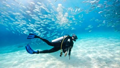 The-Bellevue-Resort-06