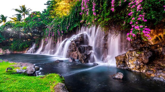 Waterfall-in-Hawaii